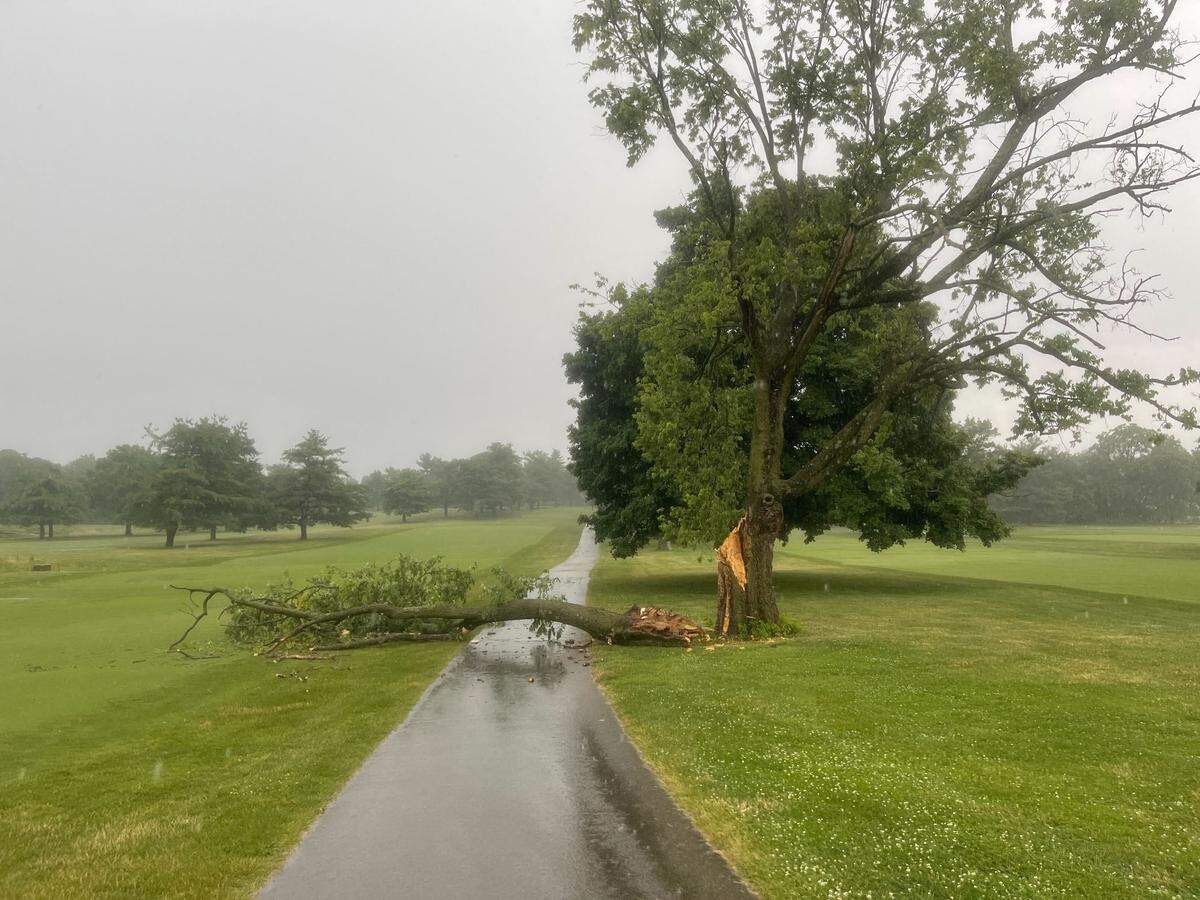 A storm in Lexington caused tree damage at Picadome golf course on Friday, June 17, 2022.