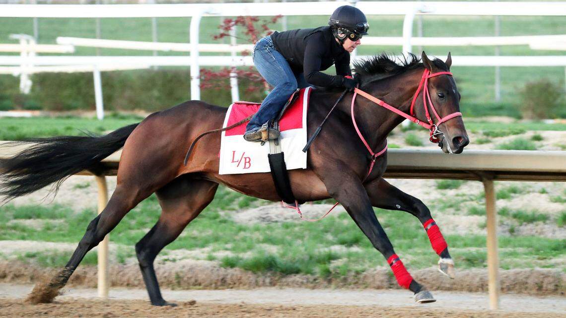 As the post-position draw nears, what does the Kentucky Derby field look like?