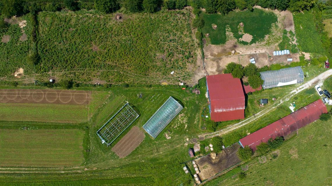 Wendell Berry: Good Henry Co. farmland should not be sacrificed to bourbon tourism