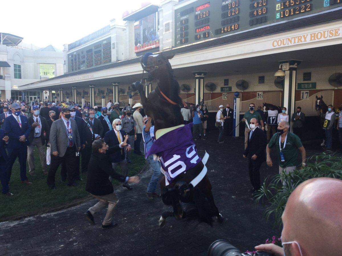 Thousand Words, with trainer Bob Baffert looking on, rears in the Churchill Downs paddock before falling to the ground.