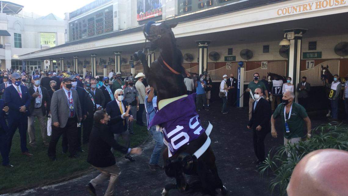 Thousand Words scratched from Kentucky Derby after falling to the ground in paddock