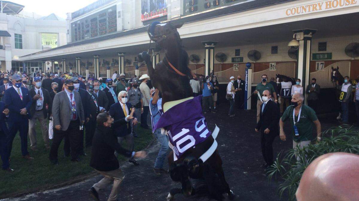 Thousand Words scratched from Kentucky Derby after falling to the ground in paddock