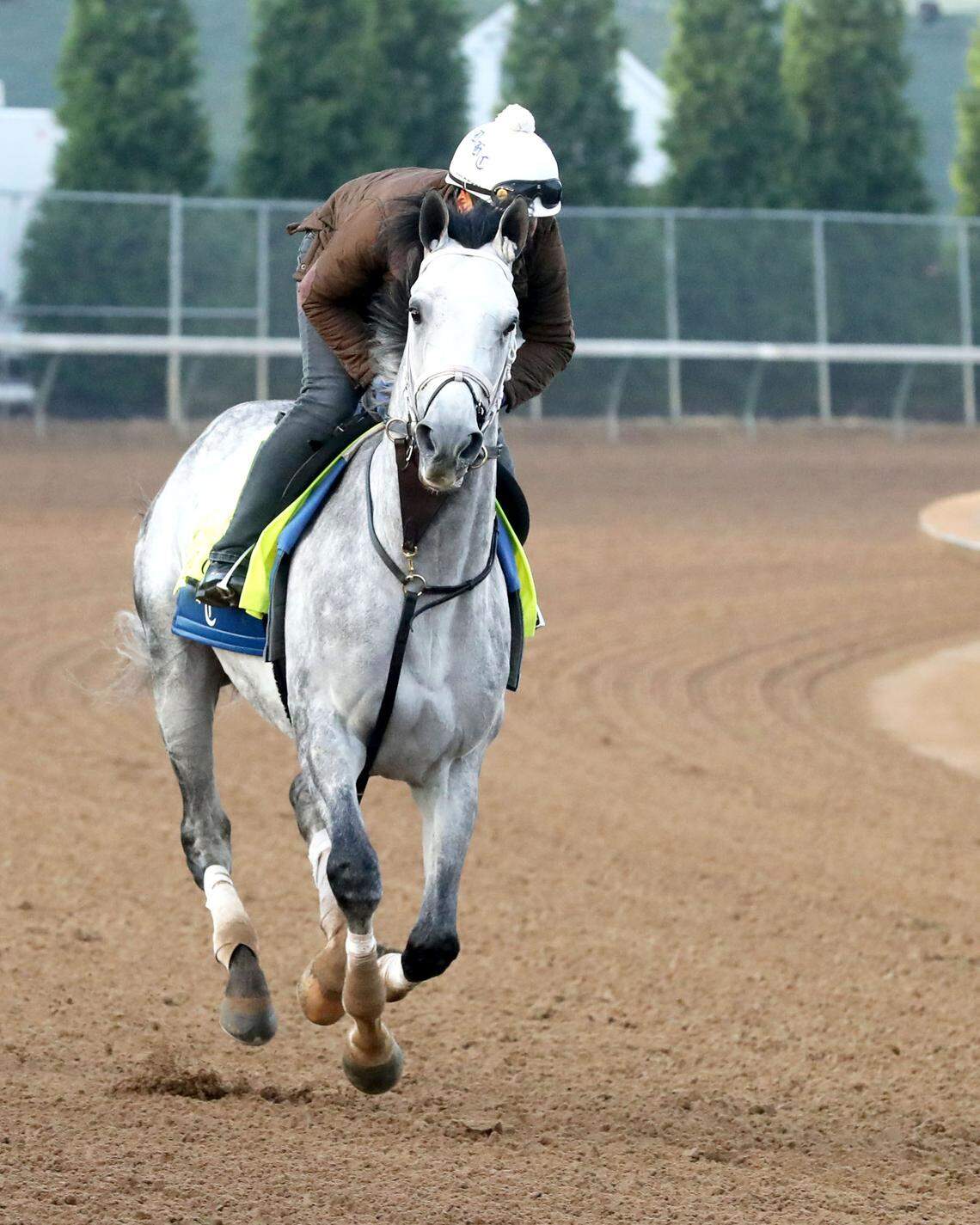 Final Gambit will start this year’s Kentucky Derby at Churchill Downs from post position No. 3. That’s the same starting gate that housed last year’s Derby champion, Mystik Dan.