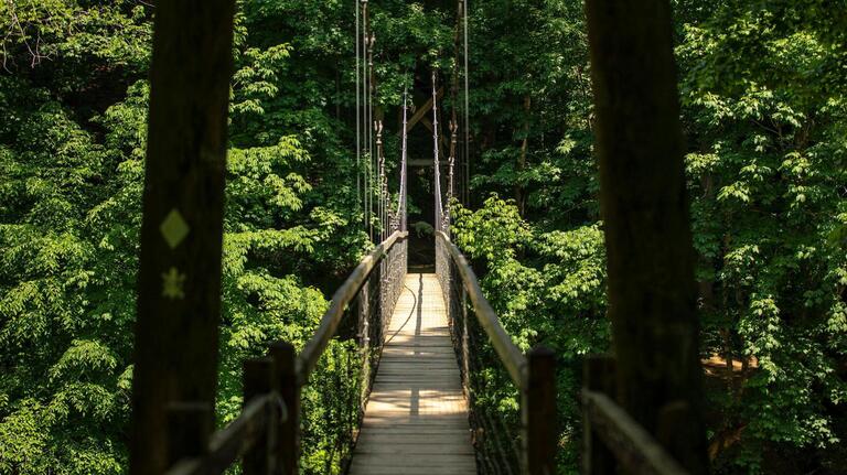 Daniel Boone National Forest is waiving camping, boating fees this Saturday. Find out where