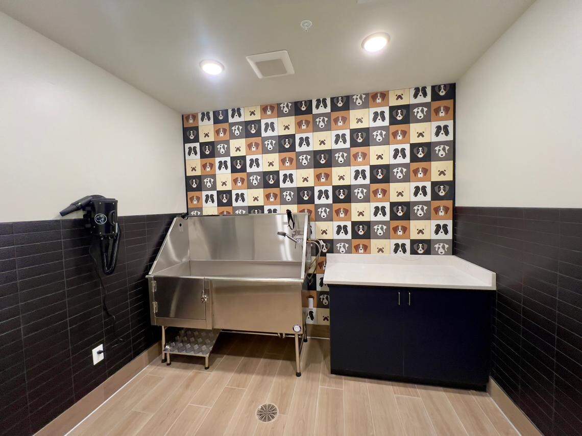 The “Paw Spa” dog washing station inside Studios340, a new complex opening in Lexington, Kentucky.