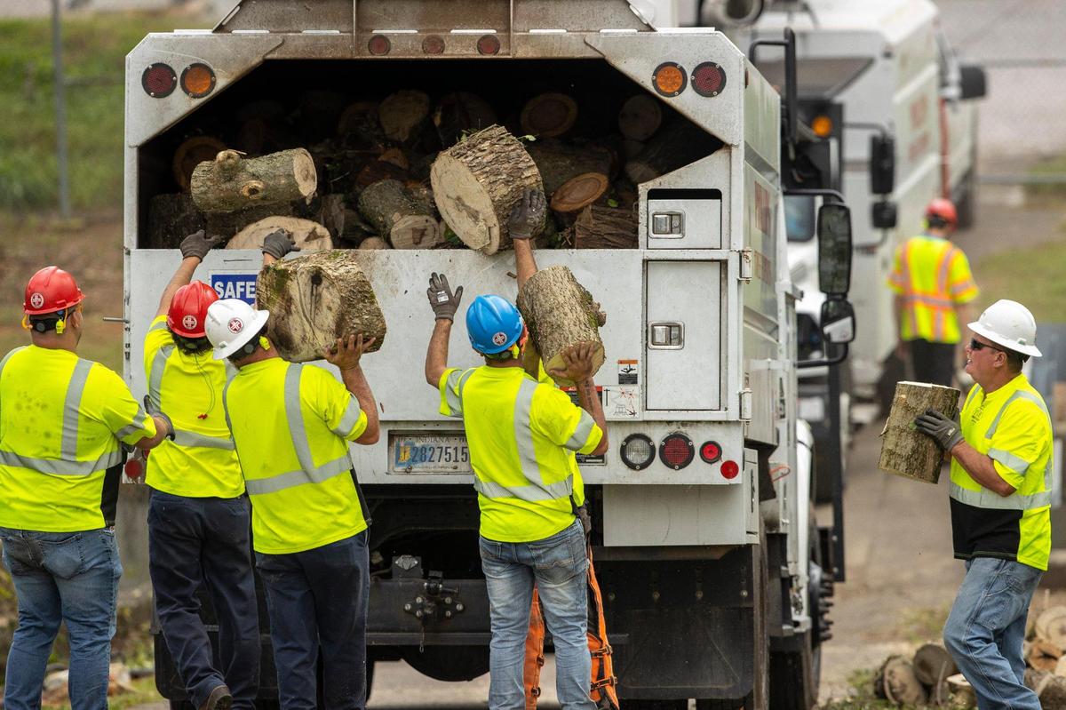Workers removed sections of trees cut down near the Lansdowne neighborhood of Lexington on Oct. 12.