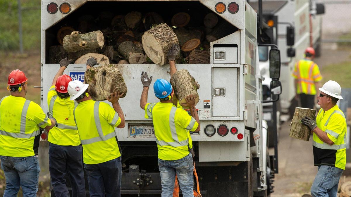 Workers remove sections of trees cut down near the Lansdowne Neighborhood of Lexington, Ky., on Tuesday, Oct. 12, 2021.