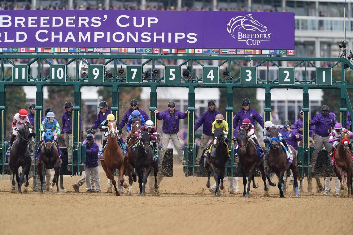 The 41st annual Breeders’ Cup World Championships of thoroughbred racing take place Friday and Saturday at Del Mar Racetrack in California.
