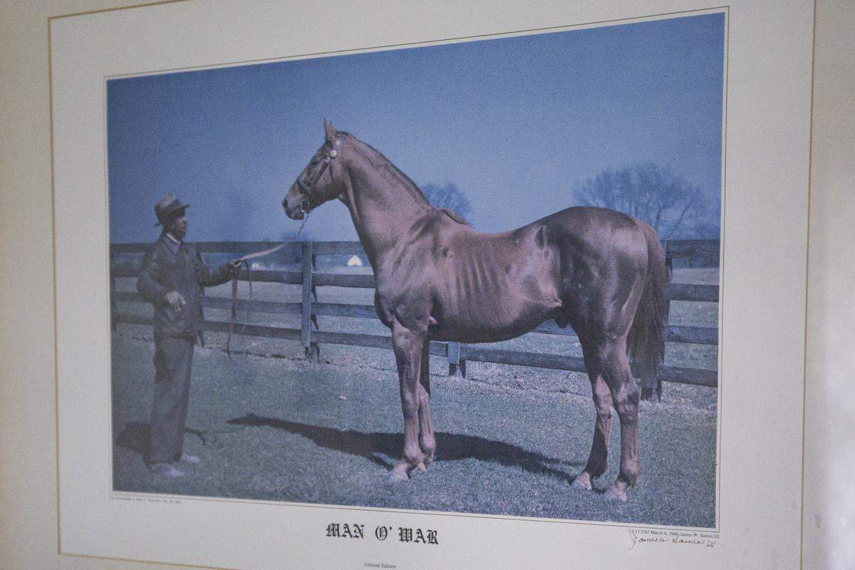 An old photo of the horse Man O’ War on Thursday, Aug. 7, 2025, at Nora Williams’ house in Lexington, Ky. The man holding him is Williams’ father, Cunningham Graves.