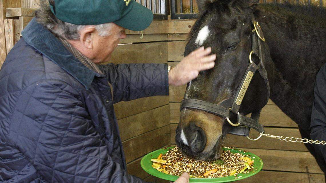 Storm Cat ate a birthday treat while getting a rub from his former trainer, Jonathan Sheppard, on his 30th birthday on Feb. 27 at Overbrook Farm. The legendary stallion died Wednesday and was buried at the farm. Photo by Matt Goins