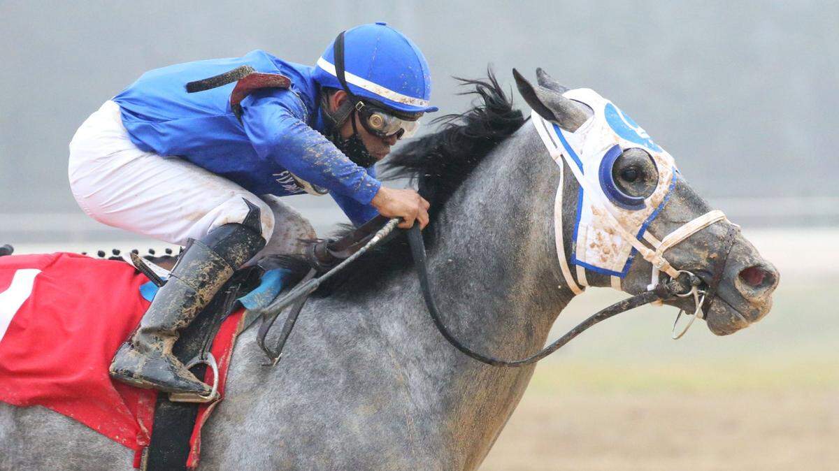 Essential Quality prevailed in the Southwest Stakes at Oaklawn Park in Hot Springs, Ark., on Saturday.