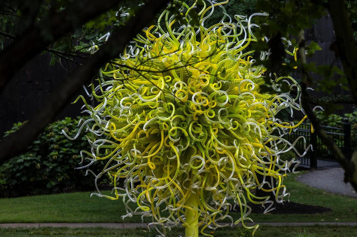 “Sol de Citron” by Dale Chihuly is displayed at Maker’s Mark new Chihuly exhibition at Star Hill Farm, home of Maker’s Mark Distillery, in Loretto, Ky., on Friday, July 18, 2025.