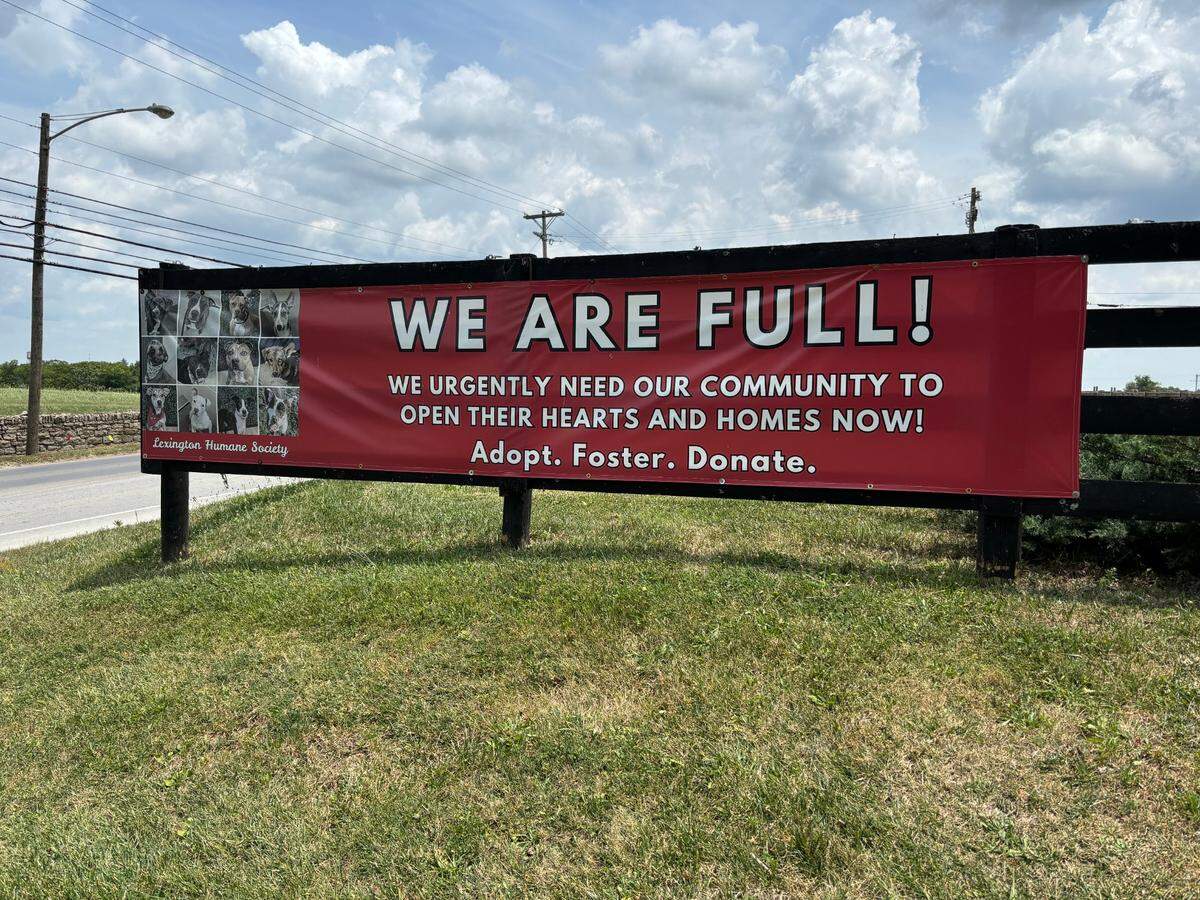 A banner sign outside the Lexington Humane Society reads "We are full!" The humane society is calling on the public to help however it can, either through adoptions, fosters or donations.