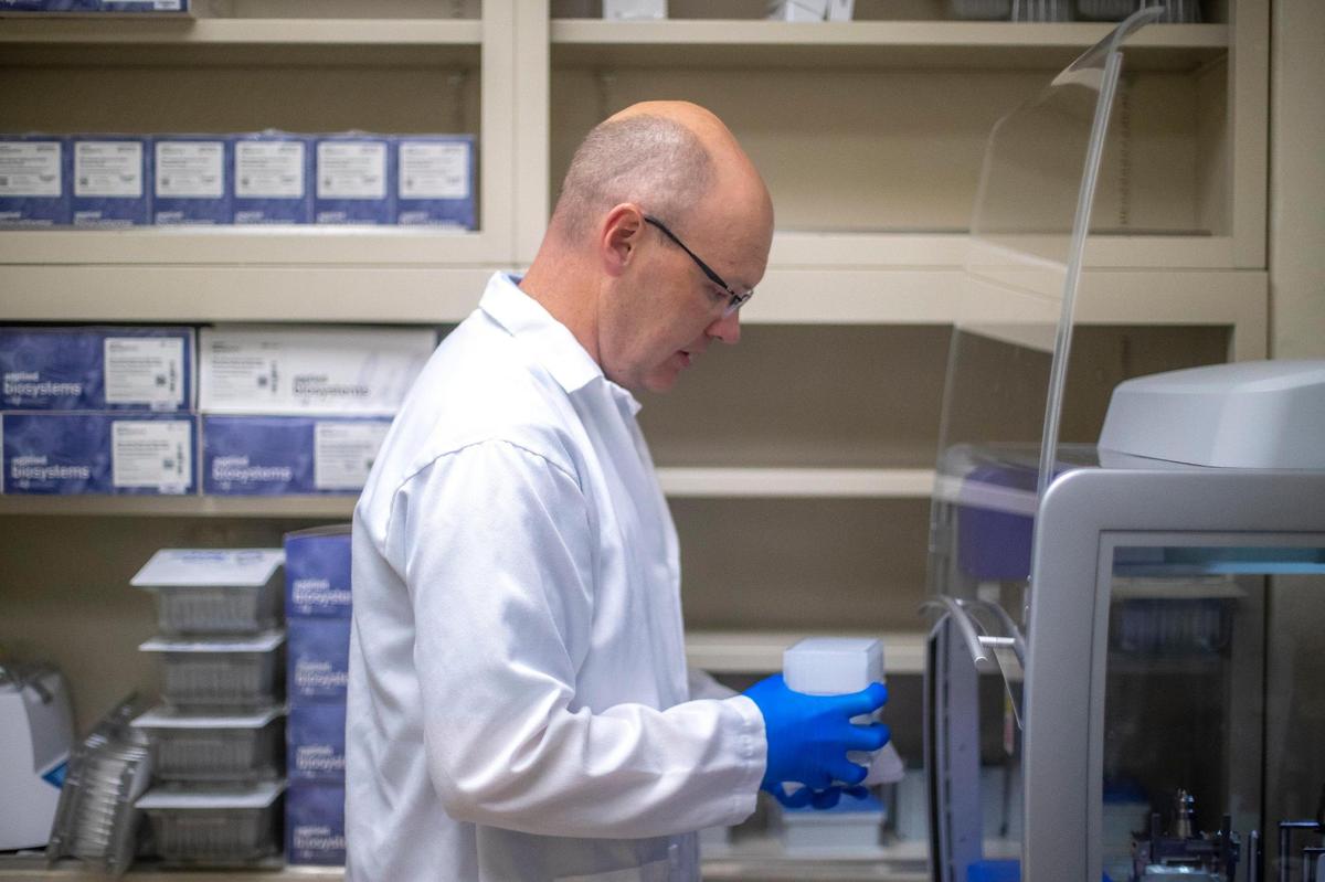 Dr. Allen Page, photographed at the Gluck Equine Center in Lexington, Ky., leads a research team that has been looking at equine blood samples for biomarkers that could be used to predict injuries and stop potential catastrophic breakdowns in racing.
