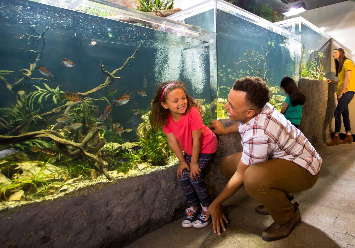 Visitors admire the new Freshwater Falls exhibit at the Newport Aquarium