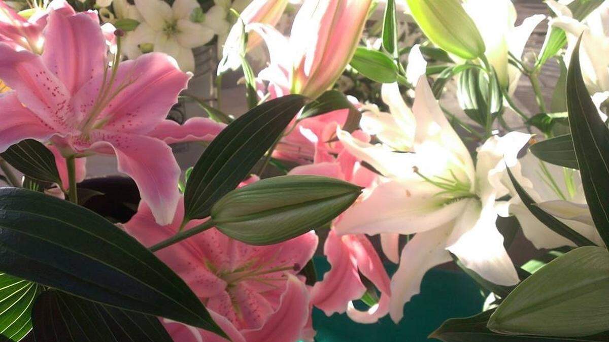 Flowers are a popular Mother’s Day gift. We’d like to hear from moms about what they’d really like this year.