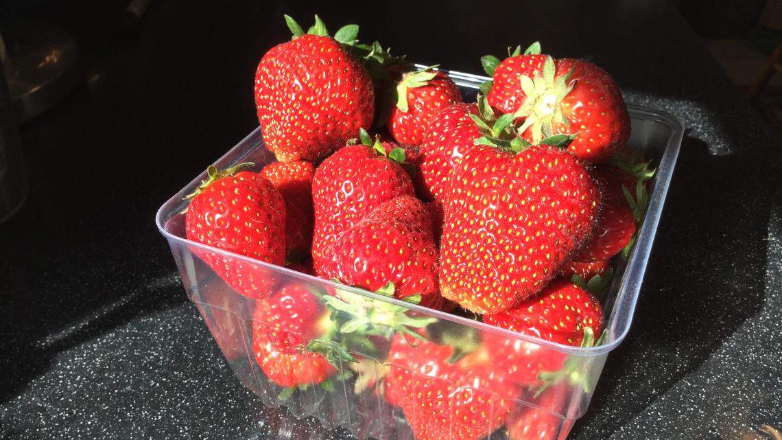 A child died after eating strawberries in Hopkins County.