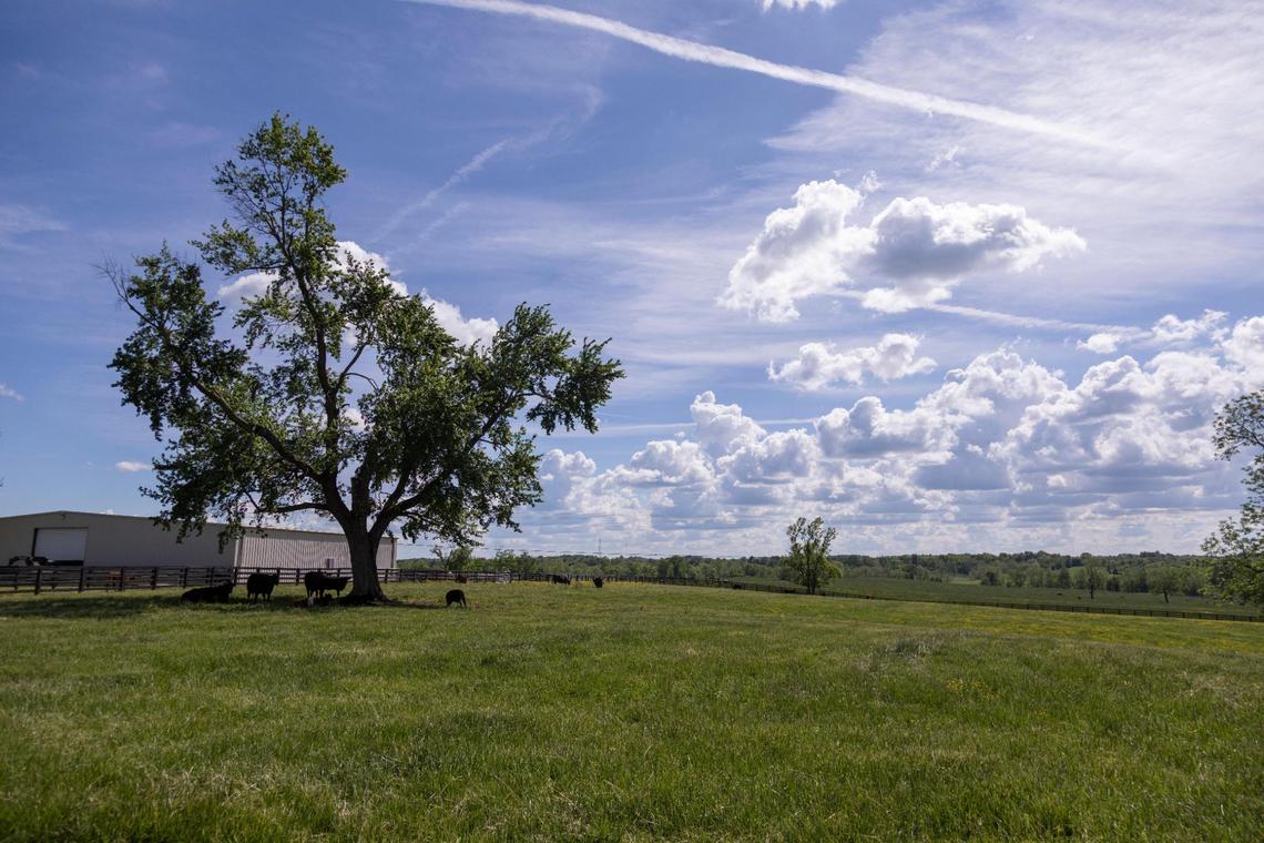 Neighbors are considering legal action to block a Buffalo Trace warehouse campus that will be built on this farmland. But they say their options are limited.