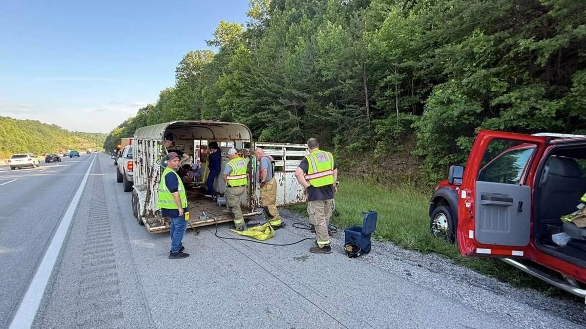 The Brodhead Fire Department Large Animal rescue technicians and Mount Vernon Fire Department help a horse that fell through a trailer on I-7 July 2.