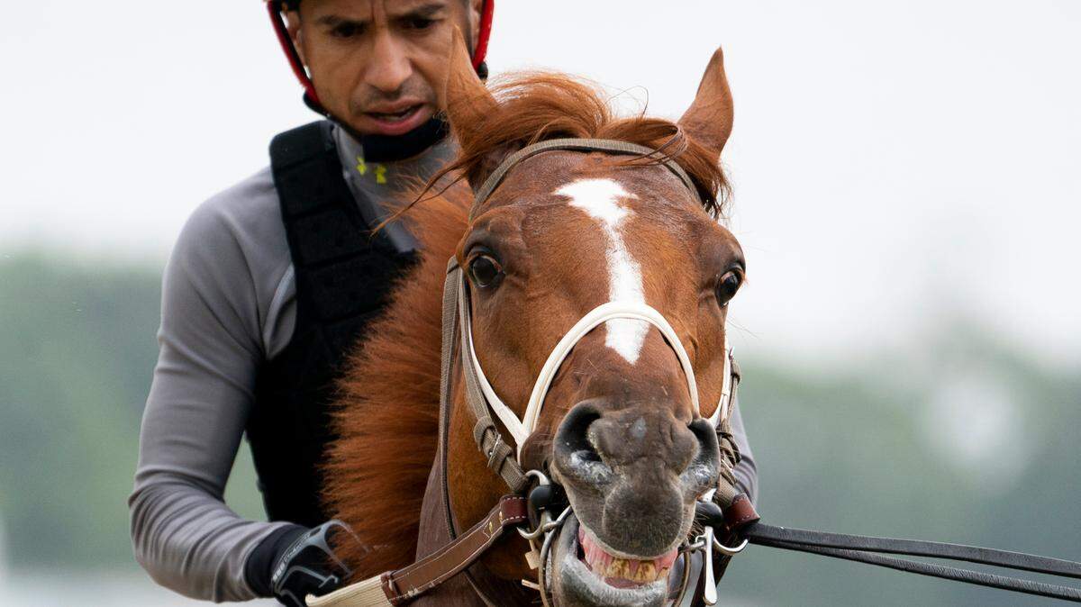 Rich Strike walks off the track after training Thursday ahead of the 154th running of the Belmont Stakes.