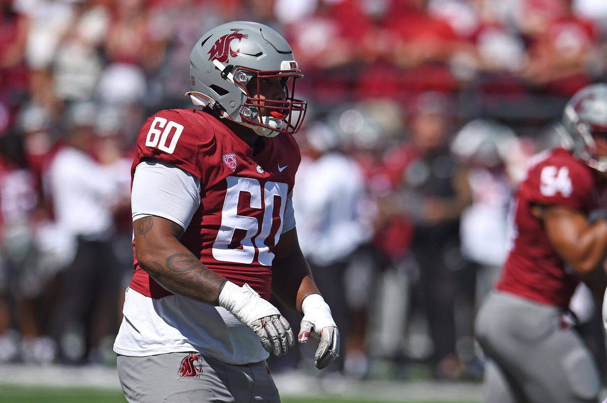 Aug 31, 2024; Pullman, Washington, USA; Washington State Cougars defensive tackle David Gusta (60) comes set for a play against the Portland State Vikings in the first half at Gesa Field at Martin Stadium. Mandatory Credit: James Snook-USA TODAY Sports