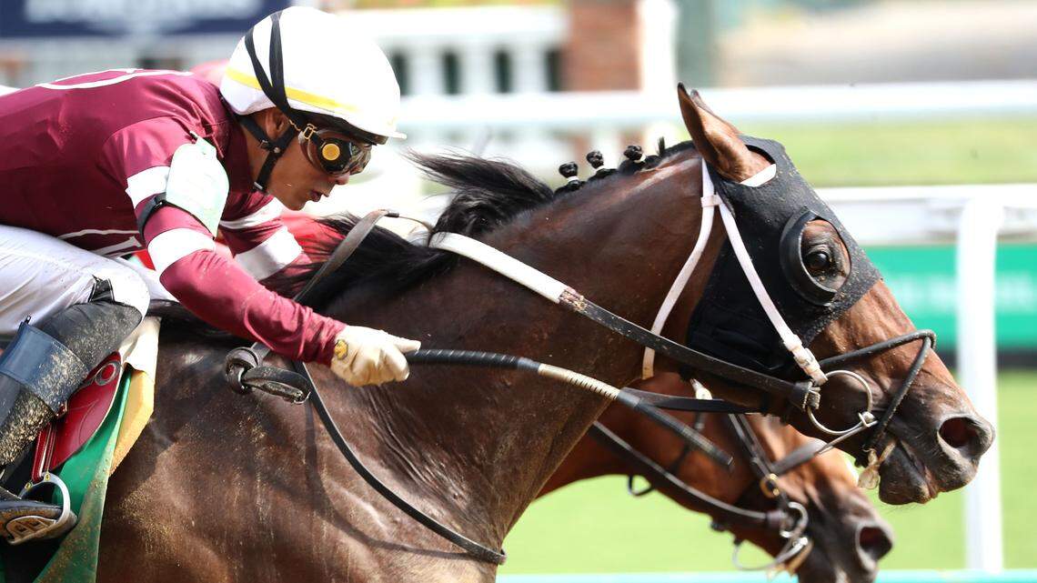 The Road to the Kentucky Derby is underway. See the full qualifying schedule.