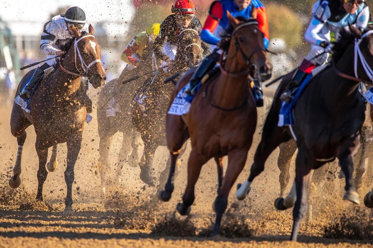 Horses compete in the $500,000, Grade 1 Darley Alcibiades on the first day of Keeneland Fall 2022 Meet in Lexington, Ky., on Friday, Oct. 7, 2022.