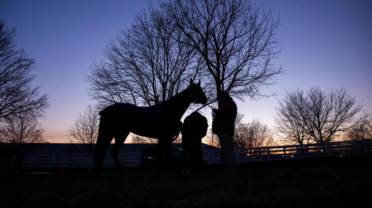 Racing, but ‘recovery first.’ In one stable at Keeneland, a focus on overcoming addiction.