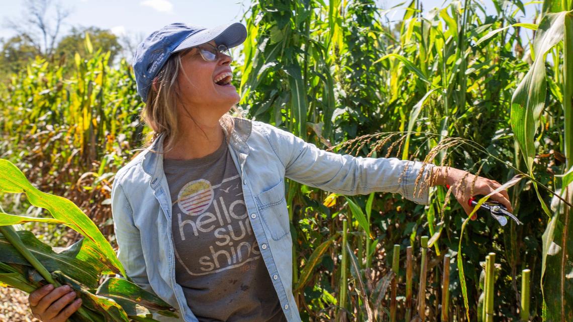 How a Kentucky broom-maker is trying to bring back a once thriving crop
