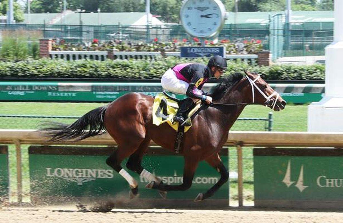Art Collector won a $100,000 allowance race at Churchill Downs last month.