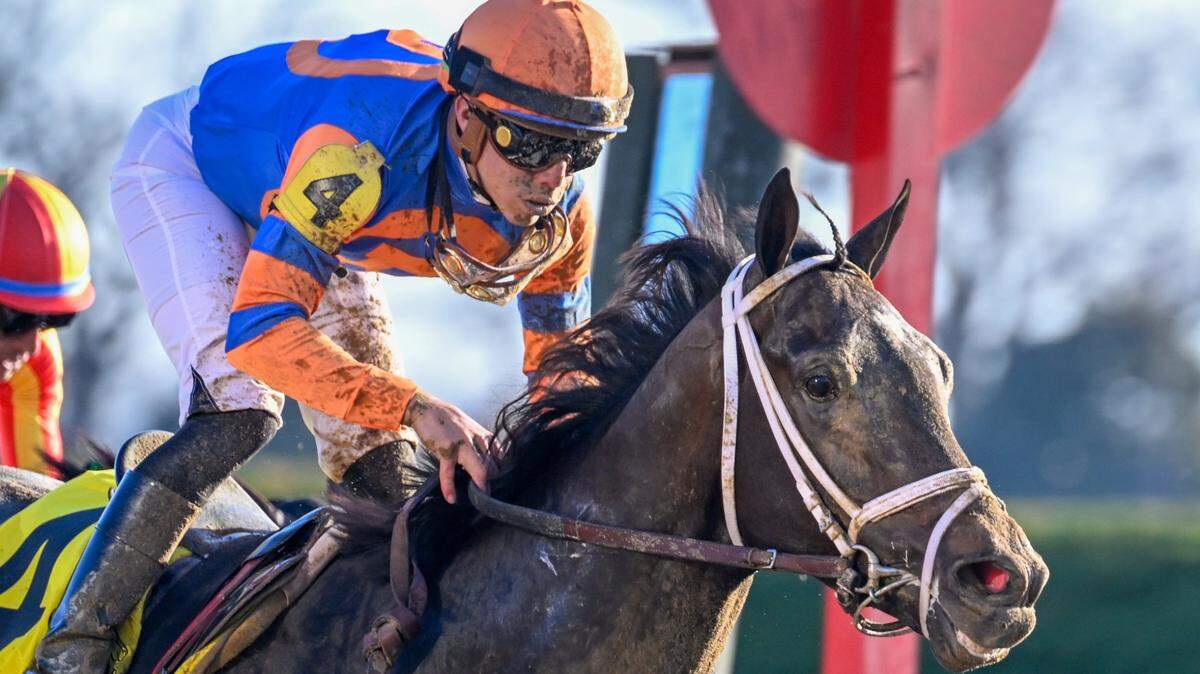 Is there a potential Triple Crown winner in this year’s Kentucky Derby field?