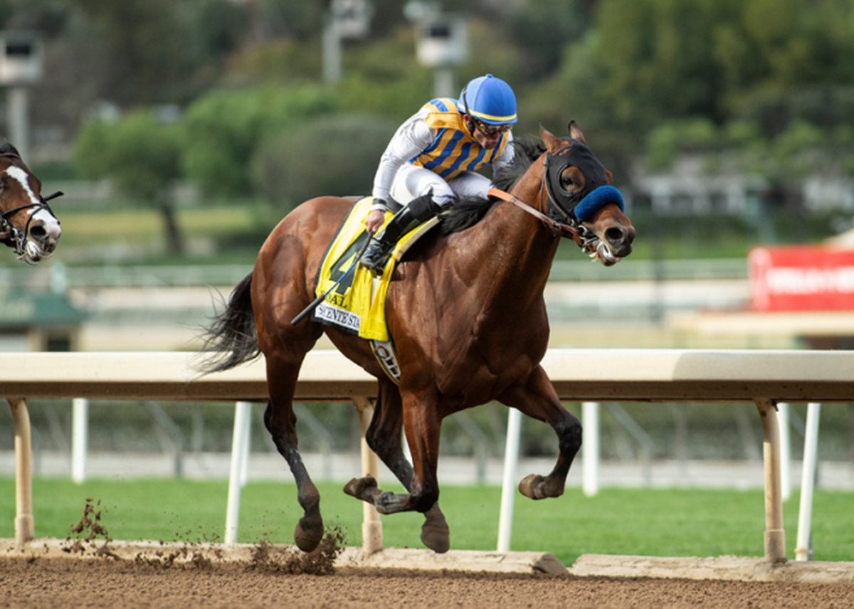 Nadal won the Grade 2 San Vicente Stakes at Santa Anita to serve notice that he could be a top Kentucky Derby contender in 2020 even though he has yet to secure any road to the Derby points.