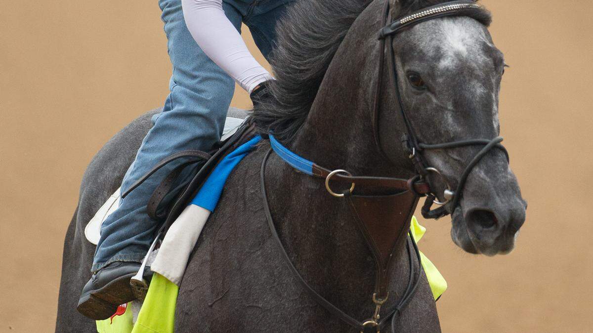 preDerby