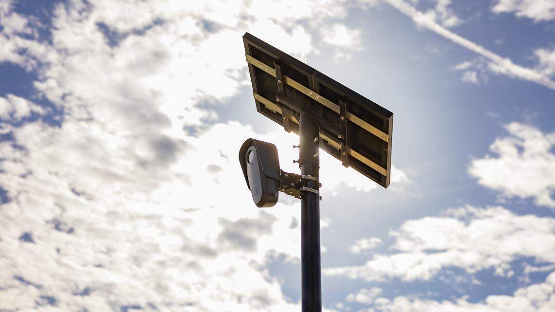 Who has access to the Lexington Police Department’s Flock surveillance cameras?