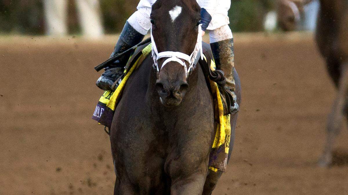 breedersdirtmile