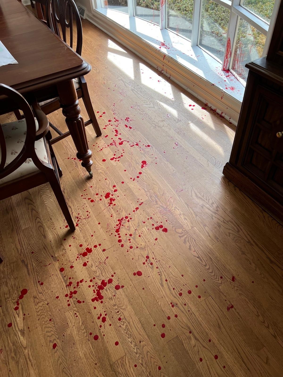 A deer broke into the home of Abe Mashni on March 5, 2022. The deer busted through a window in the Mashni’s Lexington home, rampaged through the home and then broke out a second window to escape.