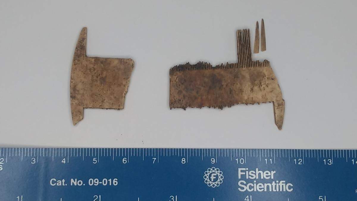 Parts of what is believed to be a bone lice comb found at the corner of South Limestone and Vine streets in late December during the construction of the Town Branch Commons.