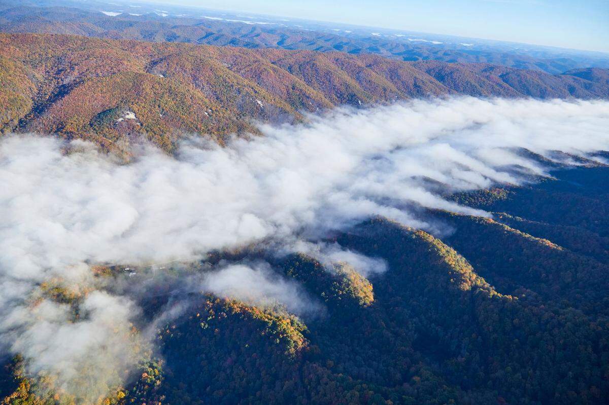 The Kentucky Natural Lands Trust bought more than 1,300 acres on Pine Mountain in Harlan County in November 2020 to conserve the land. The area will be known as the Warbler Ridge Preserve.
