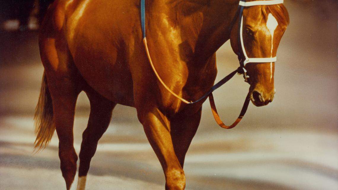 Secretariat at the Belmont is one of equine photographer Tony Leonard's most well-known photos. It was his wife Adelle's idea to airbrush the groom out of the photo.     