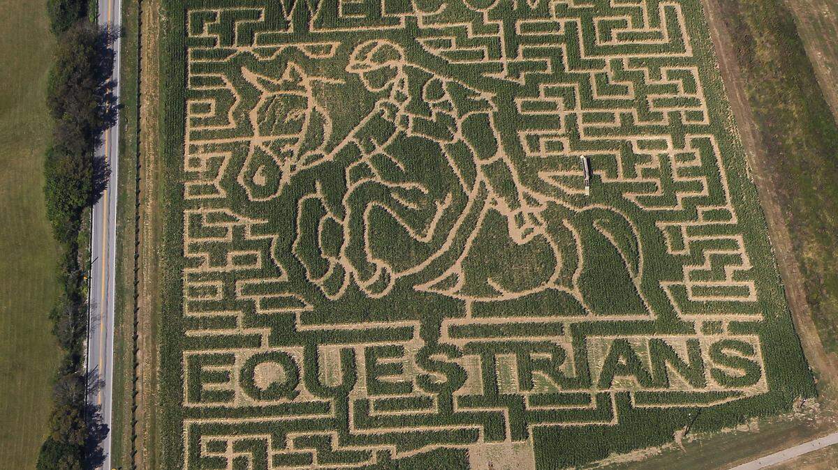 WEG-Maze