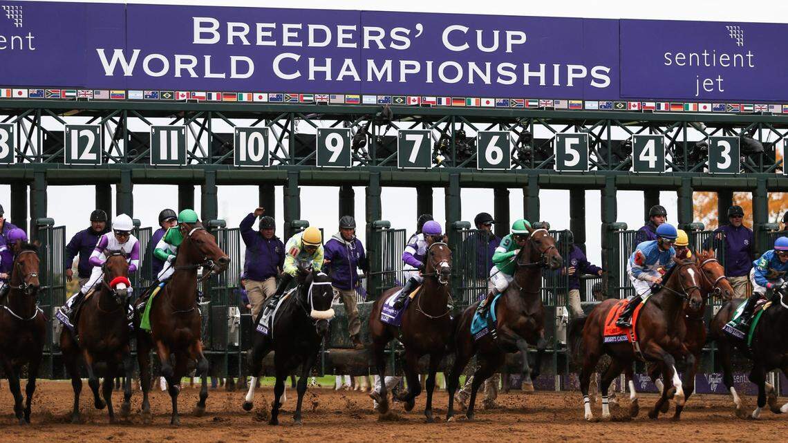 The Breeders’ Cup is back at Keeneland: Answers to all your questions about the event.