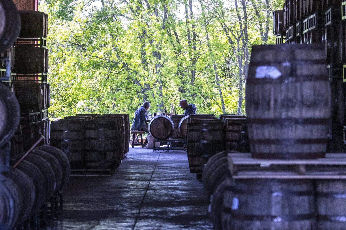 Visitors eat lunch near a warehouse at Whiskey Thief Distilling Co. in Frankfort, Ky., on Thursday, May 7, 2026.