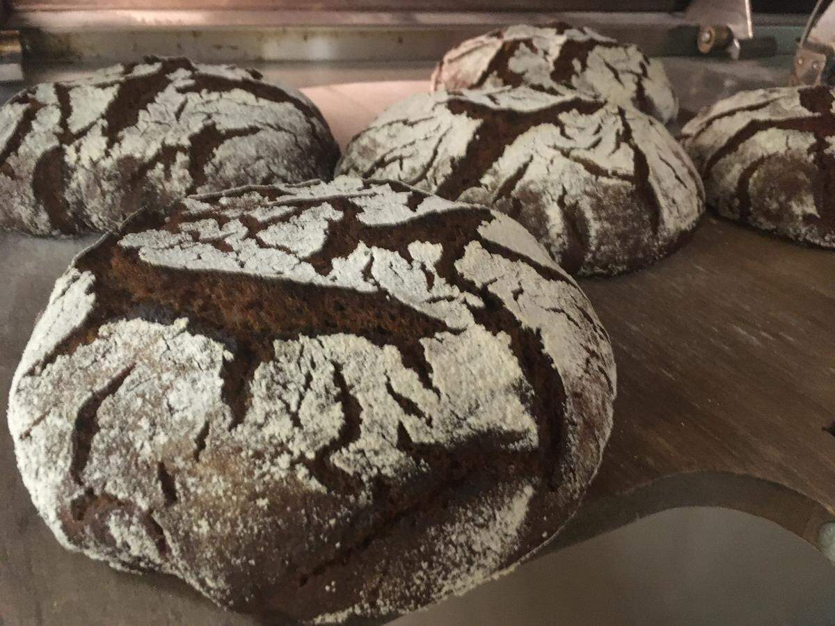 Rye loaves made by Andy Brown for a workshop of the Kentucky Small Grain Advisory Committee at Hoppy Henton’s farm in 2021.