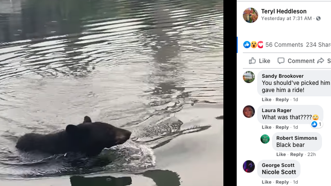 A boater came across a black bear swimming across the Ohio River on Wednesday.