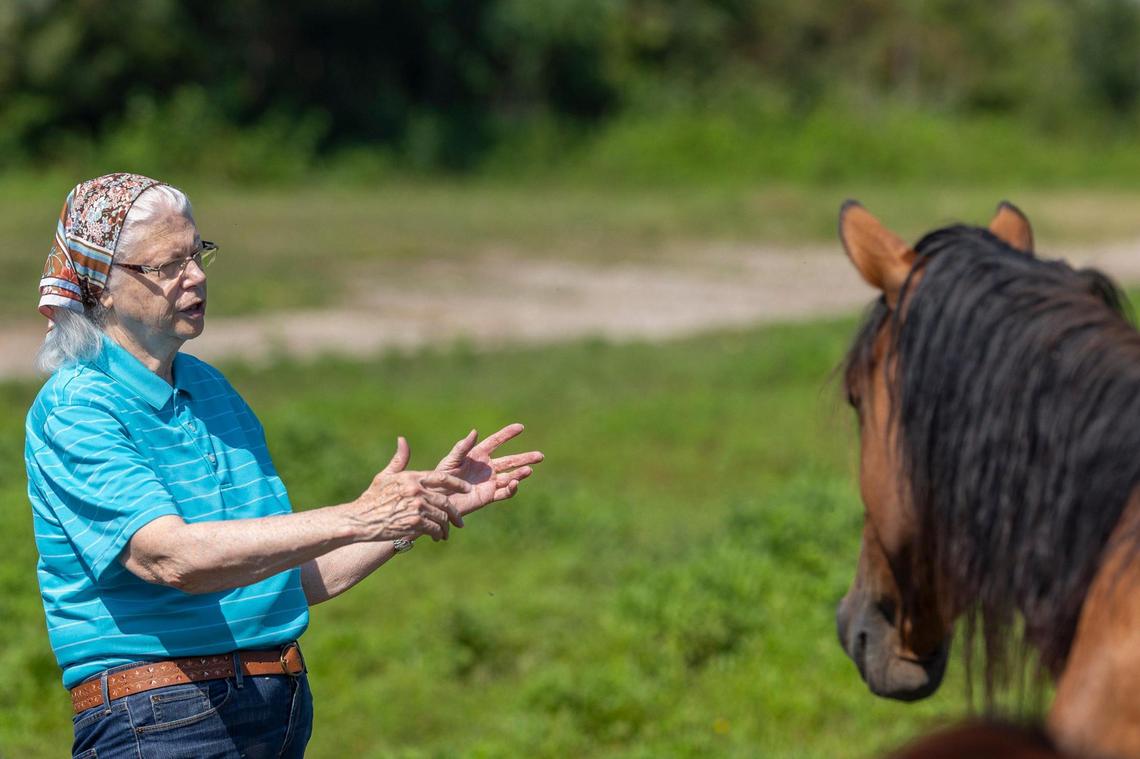 Marsha Thompson, a guide with the Appalachian Horse Project, is photographed by a wild horse near a former surface mine in Breathitt County, Ky.
