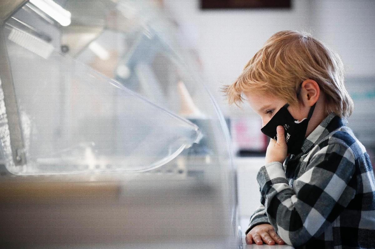 Nicholas Jenkins, 6, of Frankfort, looks over the 20 flavors at Hoggy’s Ice Cream. The local shop gets their ice cream from United Dairy Farmers out of Ohio.