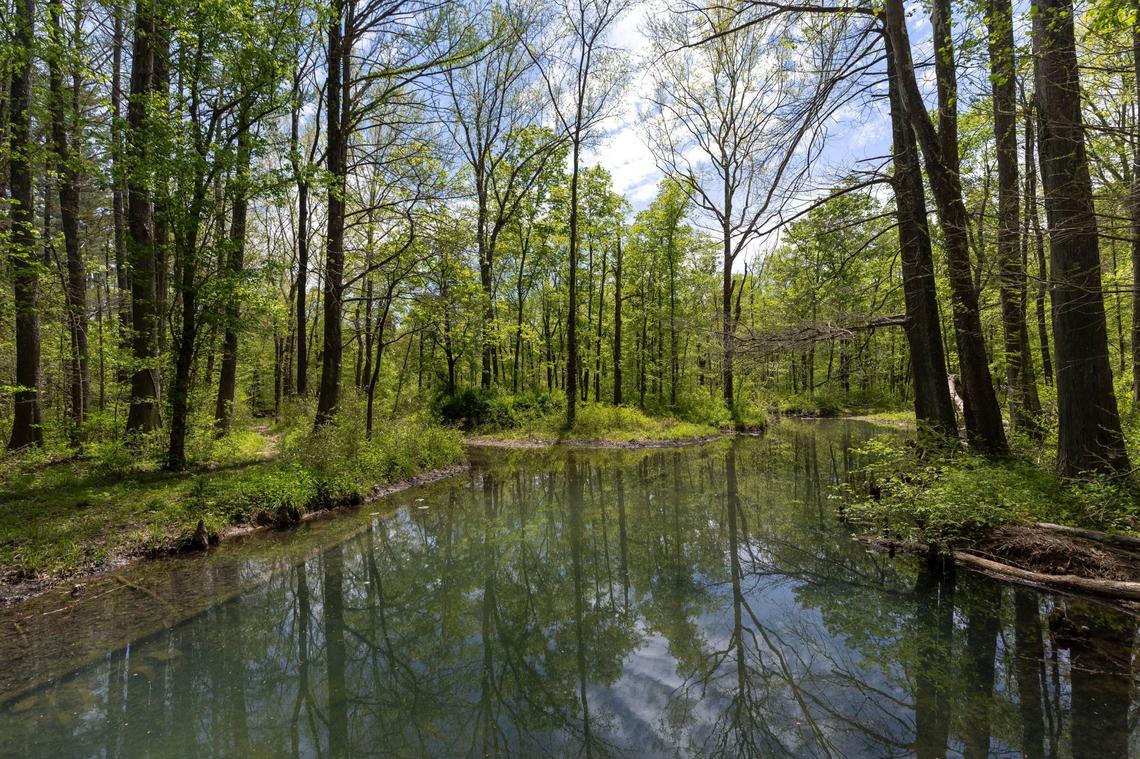 The Lake Trail hiking trail offers beautiful views at Pennnyrile Forest State Resort Park in Western Kentucky.