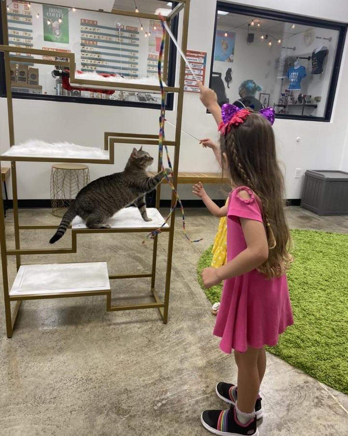 Cat fans who are 6 and under can go into the “cat lounge” with their parents during special “Kiddie Cat Hours” on weekends. You can’t bring in outside toys or treats but Central Purrk Cat Cafe has plenty of toys for you to use.