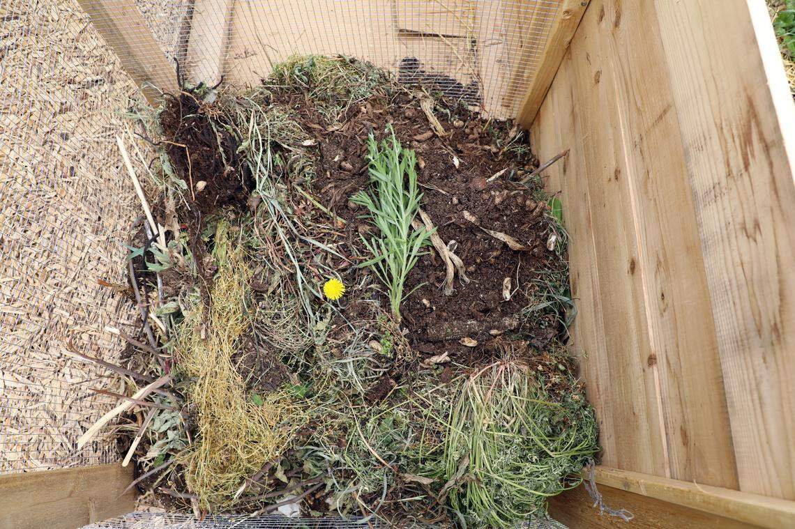 One of Seedleaf’s composting bins on Third Street in Lexington. Seedleaf, a nonprofit, is a community gardening and composting organization.