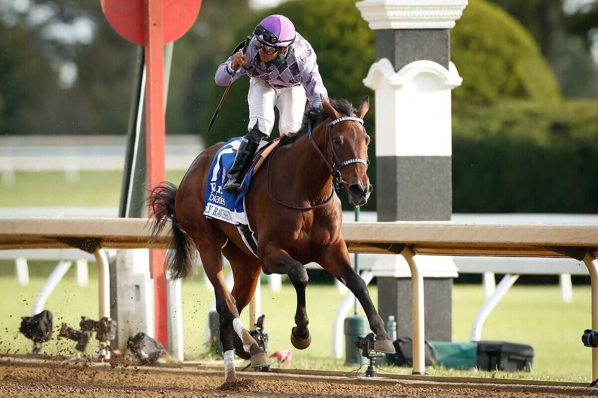Jockey Luis Saez celebrated aboard 2-1 favorite Simply Ravishing after winning the Darley Alcibiades Stakes on Friday.